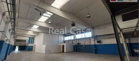 495m² Warehouse in Modena, Italy No. 235878 24