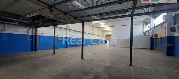 495m² Warehouse in Modena, Italy No. 235878 20