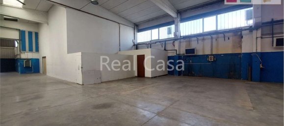 495m² Warehouse in Modena, Italy No. 235878 32