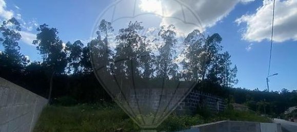  Land in Cervaes, Portugal No. 303808 6