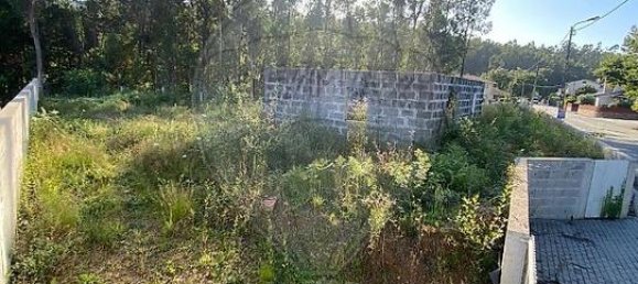  Land in Cervaes, Portugal No. 303808 5