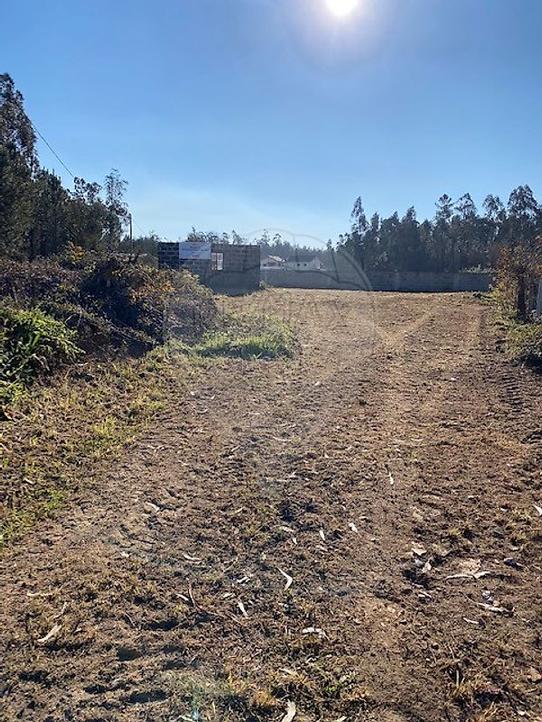 Terreno en Cervaes, Portugal No. 303808