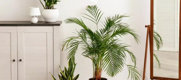 2 rooms Apartment in Trentino-Alto Adige, Italy No. 157876 28