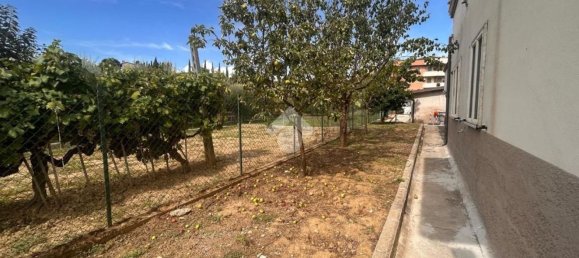 4 bedrooms House in Torgiano, Italy No. 320984 6