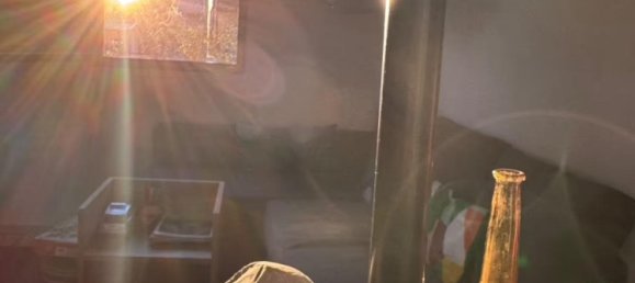 2 chambres Bungalow à Tiergarten, Germany No. 296723 5