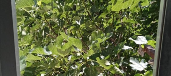 3 chambres Maison de ville à Guadalajara, Spain No. 177471 10