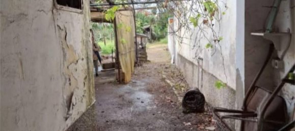 4 bedrooms Townhouse in San Cristobal de La Laguna, Spain No. 191324 16