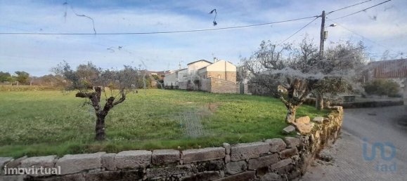 3 Schlafzimmer Villa in Oliveira do Hospital, Portugal, Nr. 15587 2