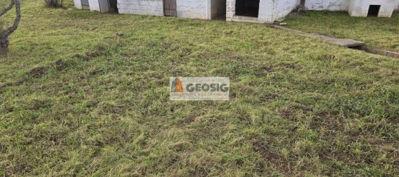 4 Schlafzimmer Haus in Rosario, Portugal, Nr. 11849 28