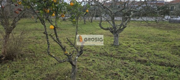 4 Schlafzimmer Haus in Rosario, Portugal, Nr. 11849 29