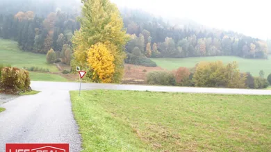 Terrain à Rohrbach-Berg, Austria No. 250116