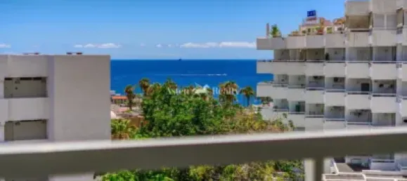 1 chambre Appartement à Adeje, Spain No. 165264 14