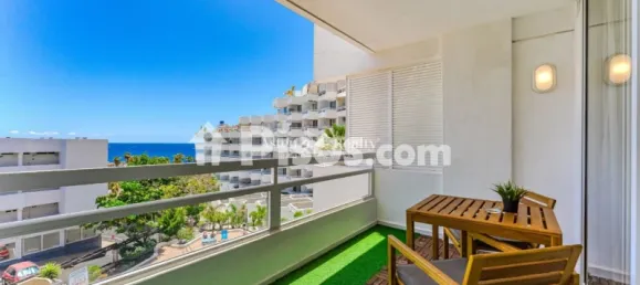 1 chambre Appartement à Adeje, Spain No. 165264 13