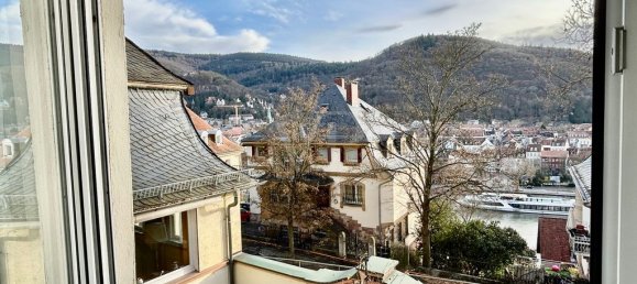 Вилла с 4 спальнями в Гейдельберг, Германия № 44198 9