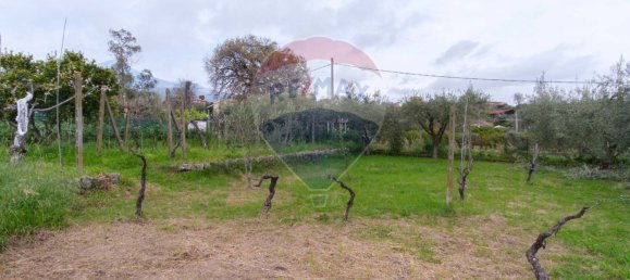 4 bedrooms Villa in Viagrande, Italy No. 233980 14