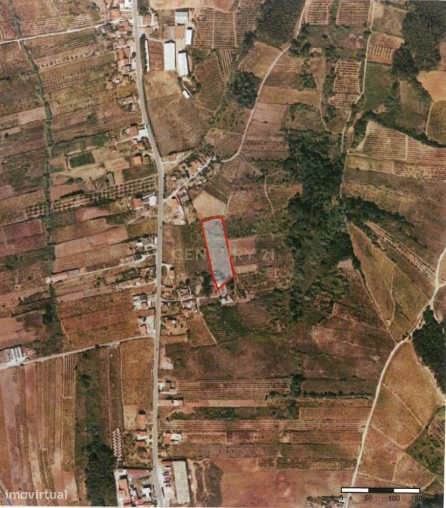 29240m² Land in Cadaval, Portugal No. 201307