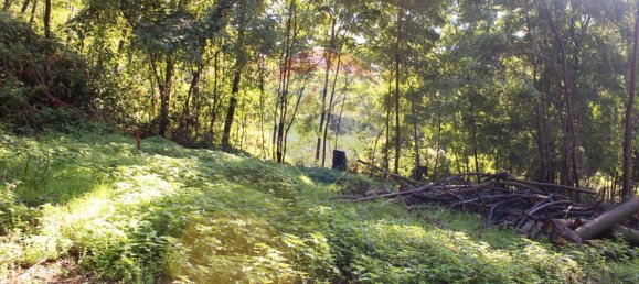 Casa de 2 habitaciónes en Cercino, Italy No. 166556 8
