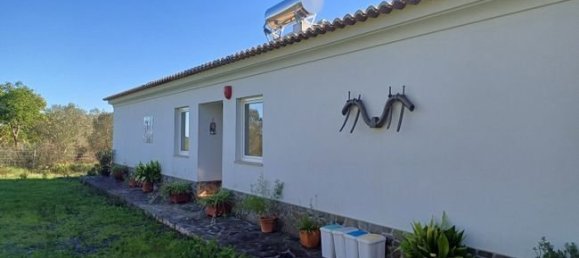 16 غرف نوم قلاع في Santiago do Cacem, Portugal رقم 55598 16