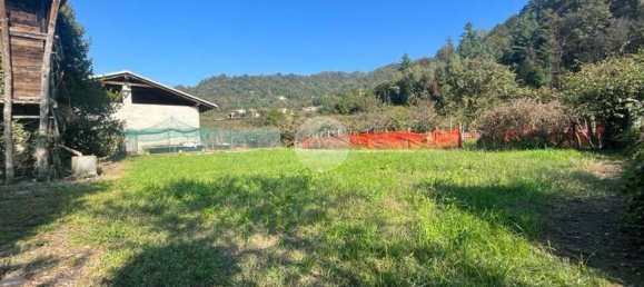 6 rooms House in Barge, Italy No. 279505 7