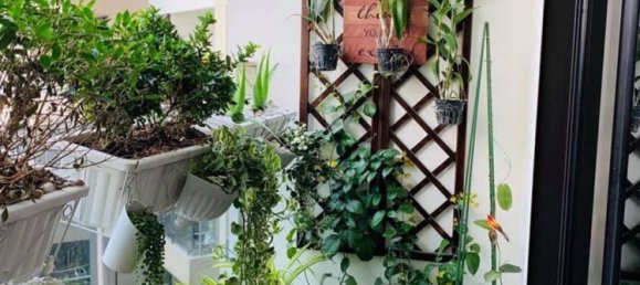 2 bedrooms Apartment in Thu Duc, Vietnam No. 17979 5