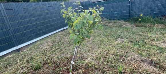 4 Schlafzimmer Stadthaus in Euskirchen, Germany, Nr. 239042 17