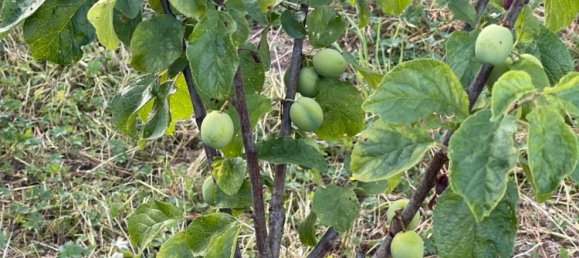 4 Schlafzimmer Stadthaus in Euskirchen, Germany, Nr. 239042 11