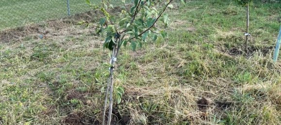 4 Schlafzimmer Stadthaus in Euskirchen, Germany, Nr. 239042 15