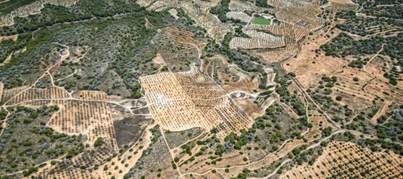 Земельный участок в Мурсия, Испания № 135331 6