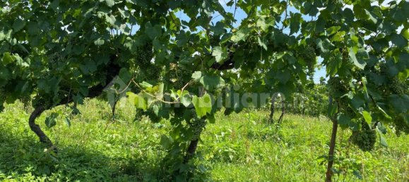 3 Schlafzimmer Villa in Udine, Italy, Nr. 294668 28