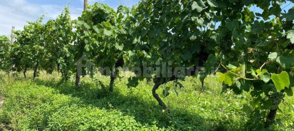 3 Schlafzimmer Villa in Udine, Italy, Nr. 294668 27