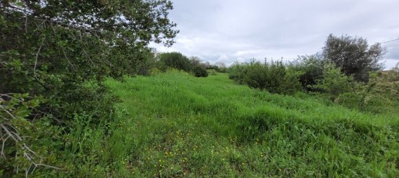 Grundstück in Panorama, Greece 4000m², Nr. 93280 2