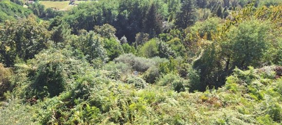 Casa de 4 divisões em Pescaglia, Italy N.º 80697 13