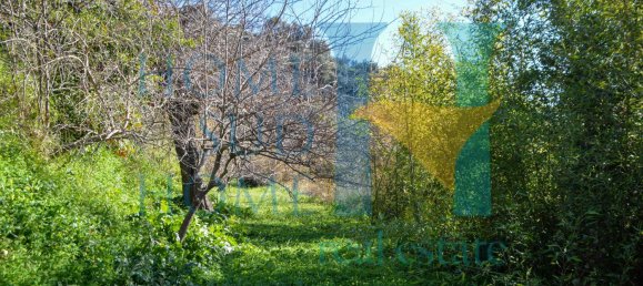 6000m² Land in Noto, Italy No. 174360 23