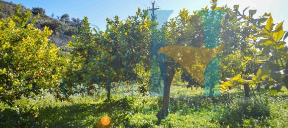 6000m² Land in Noto, Italy No. 174360 14