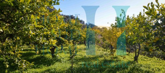 6000m² Land in Noto, Italy No. 174360 16