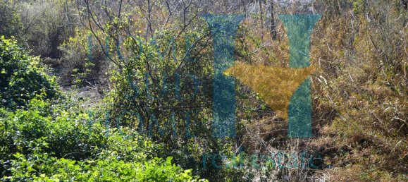 6000m² Land in Noto, Italy No. 174360 11