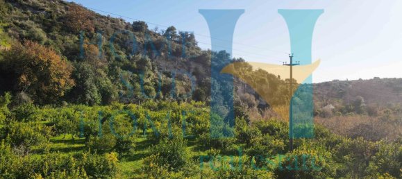 6000m² Land in Noto, Italy No. 174360 4