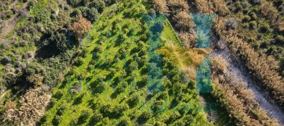 6000m² Land in Noto, Italy No. 174360 10