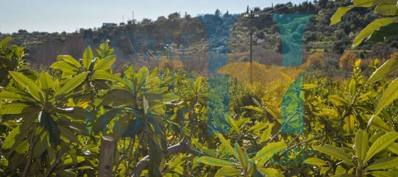 6000m² Land in Noto, Italy No. 174360 6