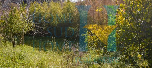 6000m² Land in Noto, Italy No. 174360 26