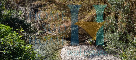 6000m² Land in Noto, Italy No. 174360 9