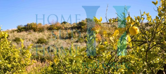 6000m² Land in Noto, Italy No. 174360 28