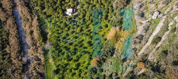 6000m² Land in Noto, Italy No. 174360 8