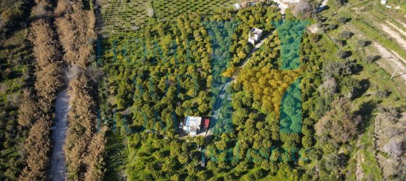 6000m² Land in Noto, Italy No. 174360 12