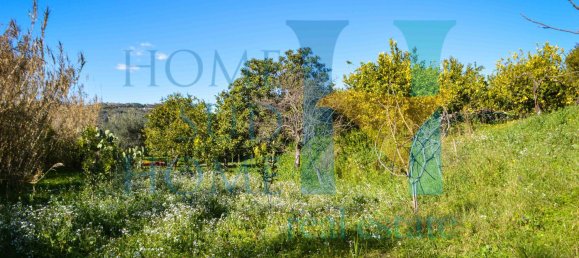 6000m² Land in Noto, Italy No. 174360 22