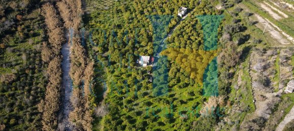 6000m² Land in Noto, Italy No. 174360 7