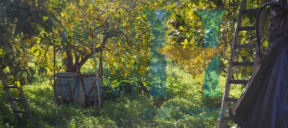 6000m² Land in Noto, Italy No. 174360 19