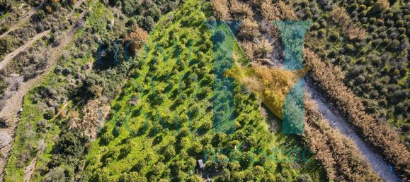 6000m² Land in Noto, Italy No. 174360 3