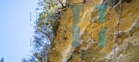 6000m² Land in Noto, Italy No. 174360 18