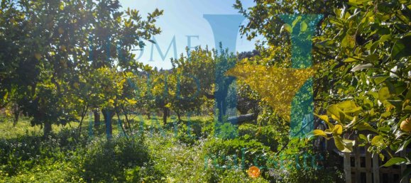 6000m² Land in Noto, Italy No. 174360 21